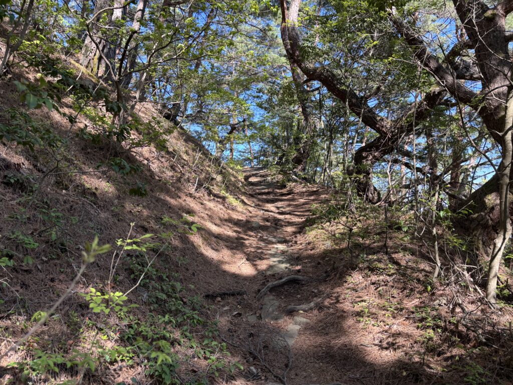 急な登山道と青空