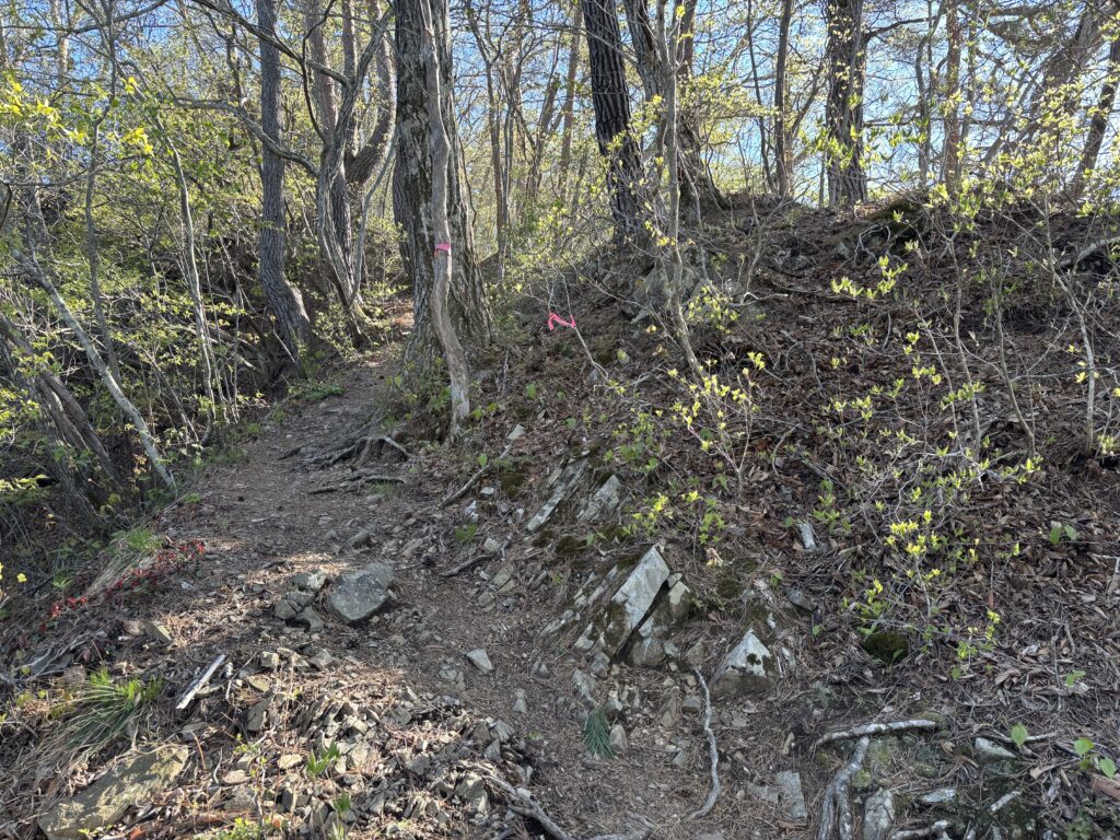 山頂直下の急登